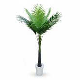 Artificial Fresh Coconut Palm Tree - 180cm (6ft)